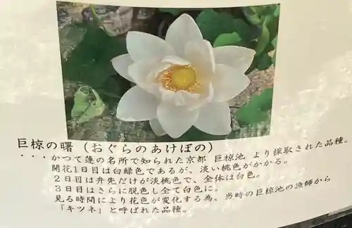 生田神社(兵庫県)