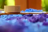 土津神社|こどもと出世の神さまの手水舎