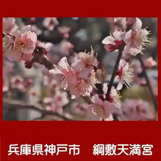 綱敷天満宮(兵庫県)