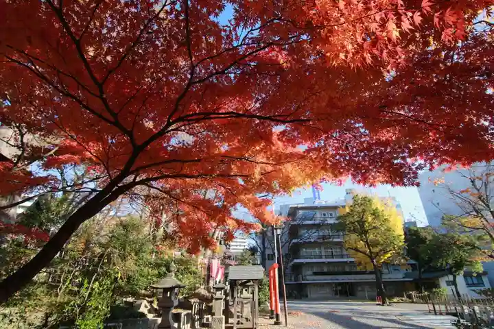 安積國造神社の自然
