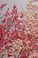 祥雲寺(愛媛県)