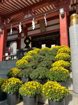 大山阿夫利神社の本殿・本堂