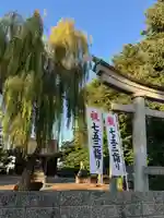 秋田諏訪宮の七五三参