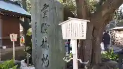 千葉神社(千葉県)