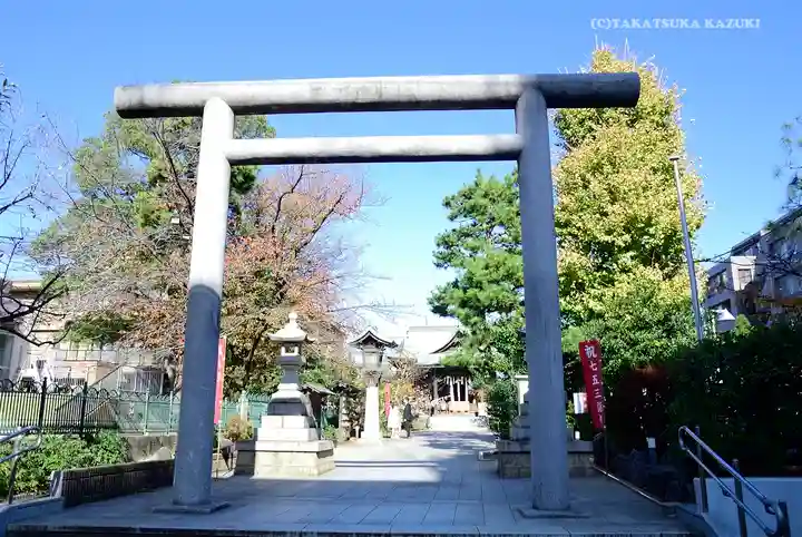 桜神宮の鳥居