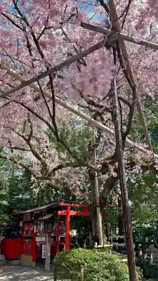 水火天満宮(京都府)