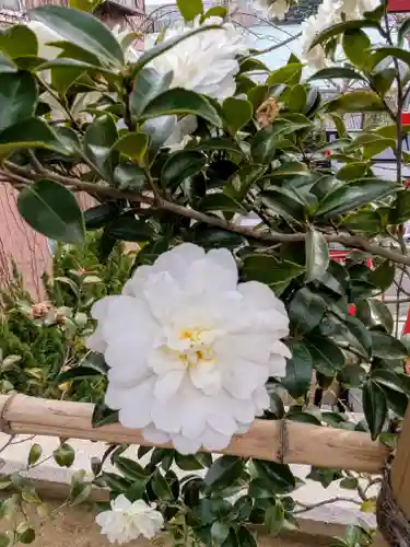 放生寺(東京都)