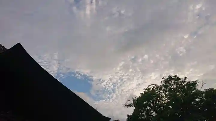 尾張大國霊神社(国府宮)の自然