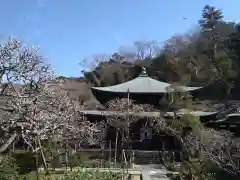 瑞泉寺の本殿