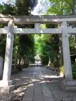 代々木八幡宮の鳥居