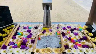 草加神社の手水舎