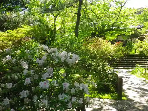 安國論寺（安国論寺）の庭園