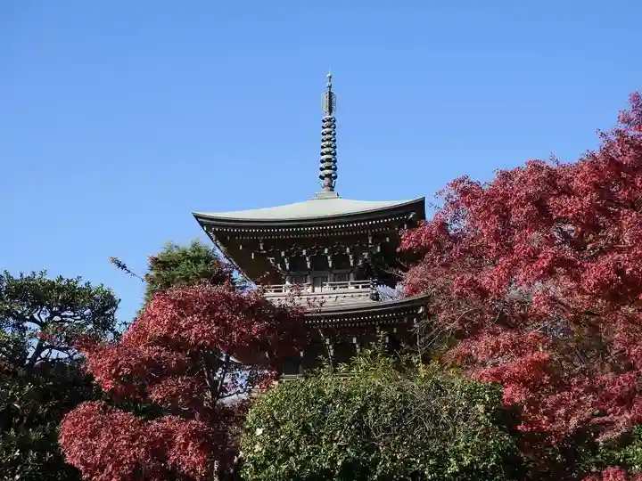 道場寺の塔