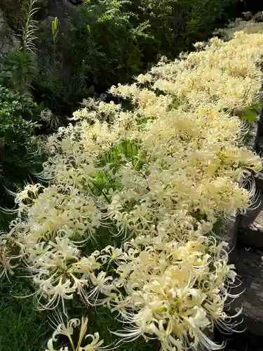 横浜　西方寺(神奈川県)
