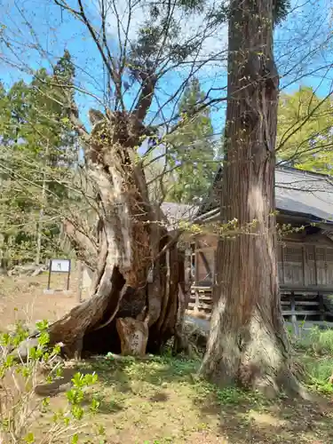 円満寺観音堂(岩手県)