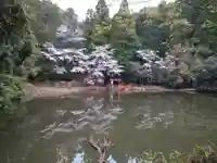 龗神神社(奈良県)
