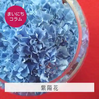 壽徳寺 じゅとくじ(福島県)