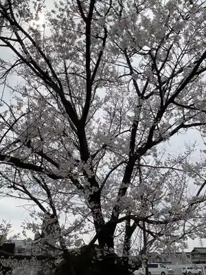 田縣神社(愛知県)