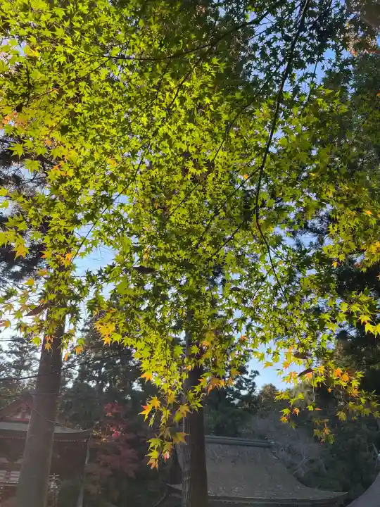 日吉大社(滋賀県)