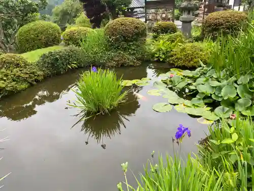 観音寺の庭園