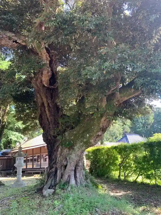 大戸神社(千葉県)
