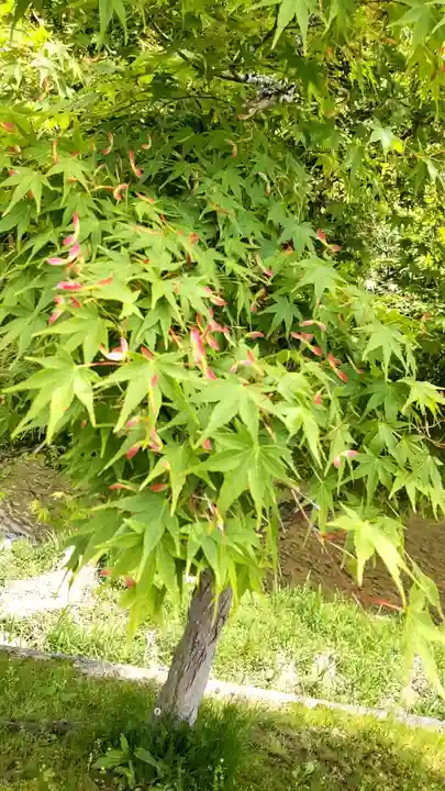 和氣神社(和気神社)(岡山県)