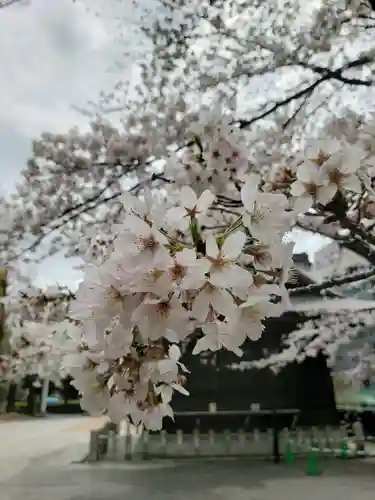 熊野神社(東京都)
