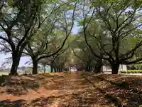 東蕗田天満社の自然