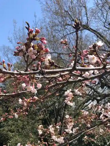 足利織姫神社の自然