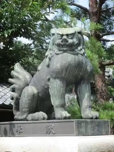 千代神社の狛犬