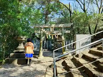 高知県護国神社の鳥居