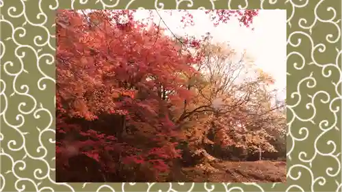 水澤寺(水澤観世音)(群馬県)