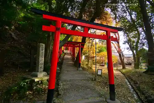賀茂別雷神社（上賀茂神社）(京都府)