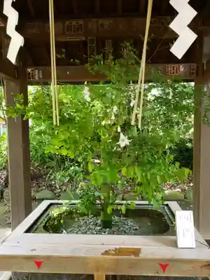 赤坂氷川神社(東京都)