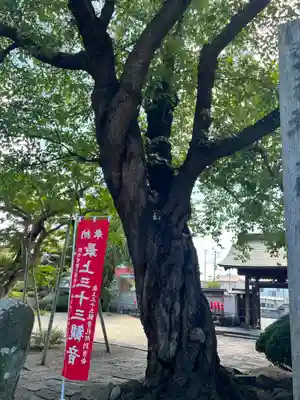 圓應寺(山形県)