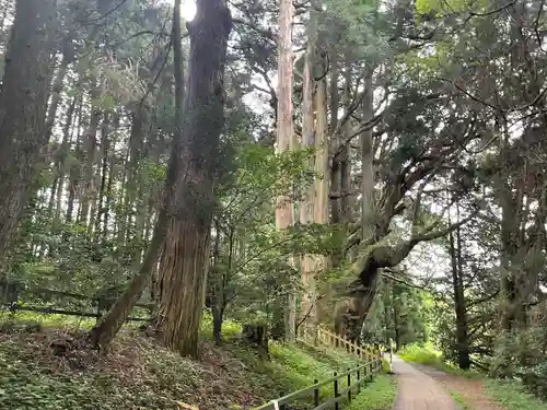 幣立神宮(熊本県)