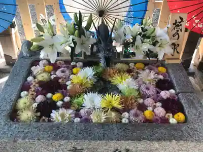 札幌諏訪神社の手水舎