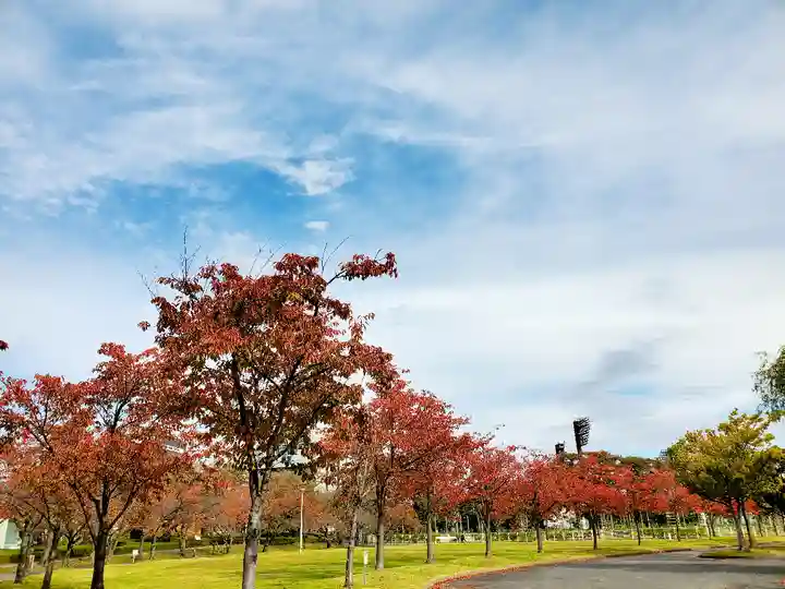 開成山大神宮の周辺
