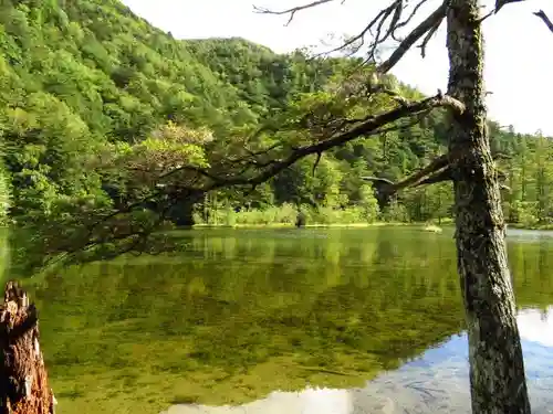 穂高神社奥宮の自然