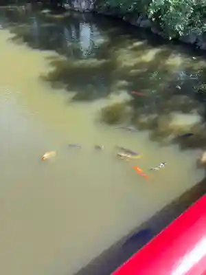 伊弉諾神宮(兵庫県)