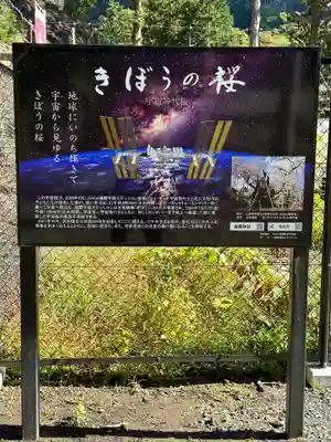 金櫻神社(山梨県)