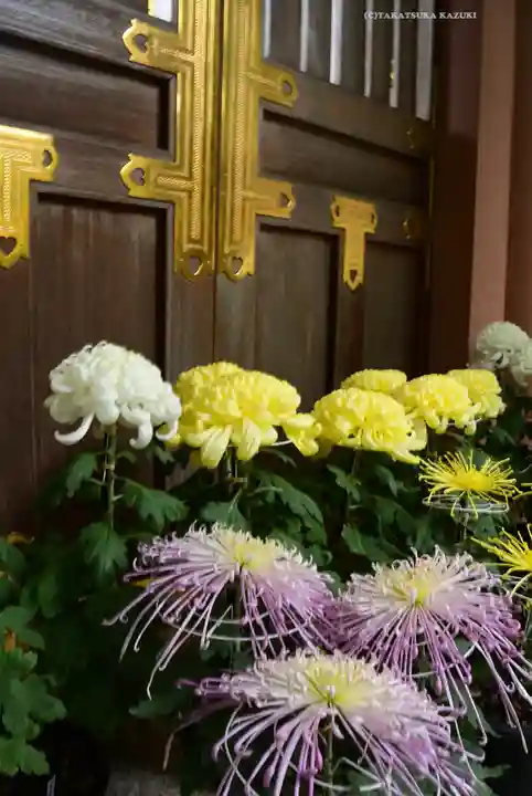 東京大神宮(東京都)