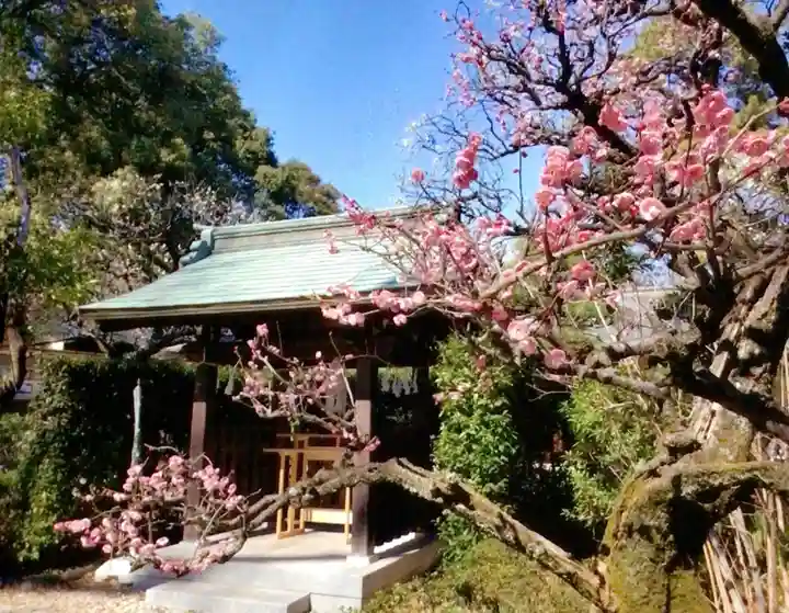 布多天神社(東京都)