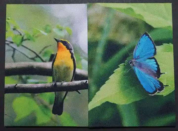 高円寺天祖神社の動物