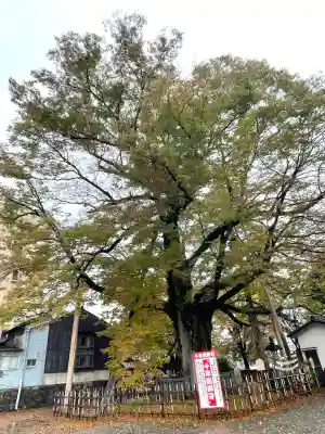 神明宮(石川県)