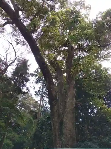 久能山東照宮(静岡県)