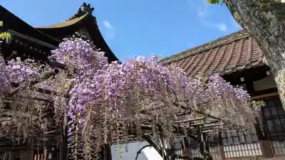 六孫王神社(京都府)