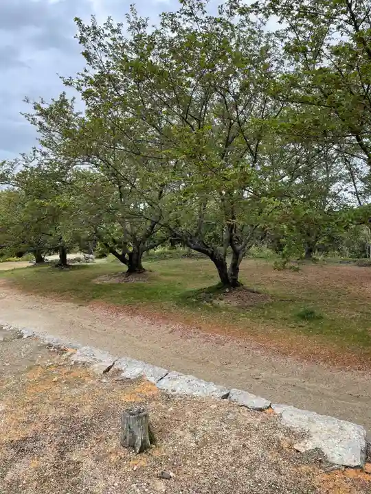 貴船神社の自然