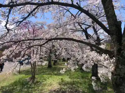 賀茂神社の{uncategorized: "未分類", other: "その他", undefined: "問題あり", building: "その他建物", grave: "お墓", sacred_gate: "鳥居", guardian: "狛犬", statue: "像", buddha: "仏像", history: "歴史", nature: "自然", garden: "庭園", animal: "動物", pagoda: "塔", temizu: "手水舎", mountain_gate: "山門・神門", sanctuary: "本殿・本堂", subordinate: "末社・摂社", art: "芸術", scenery: "景色", jizo: "地蔵", ema: "絵馬", goshuin: "御朱印", omikuji: "おみくじ", items: "授与品その他", amulet: "お守り", goshuincho: "御朱印帳", eats: "食事", festival: "お祭り", votive_dance: "神楽", shichigosan: "七五三参", wedding: "結婚式", experience: "体験その他", initially: "初詣", around: "周辺", anti_infection: "感染症対策"}