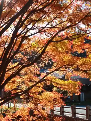 地蔵の景色